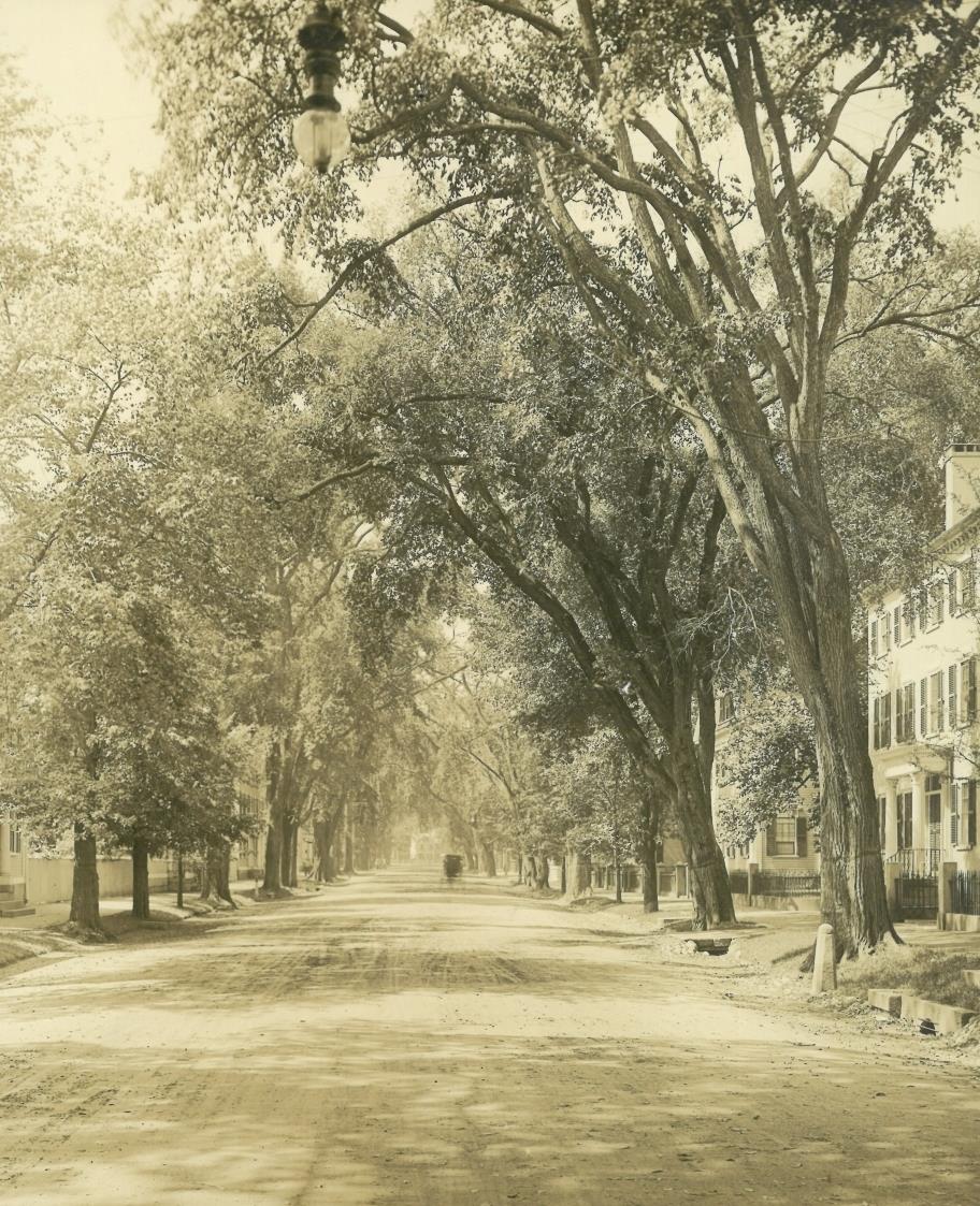 Salem, Chestnut Street, Straßenansicht