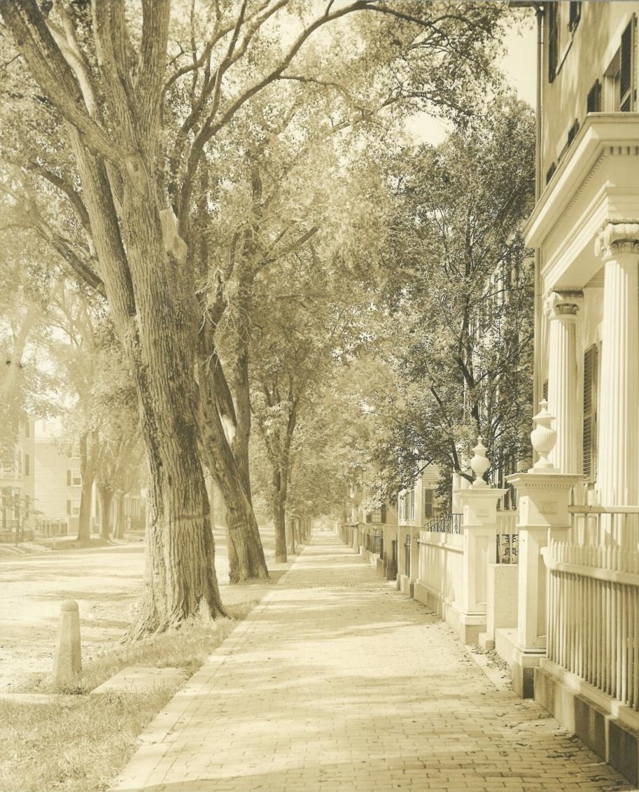 Salem, Chestnut Street, Straßenansicht