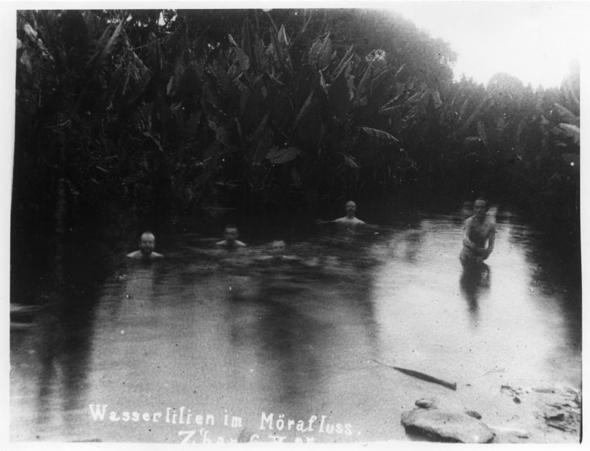 Wasserlilien im Mörafluss