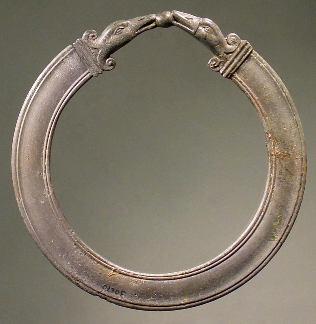 Ring zum Tragen der Palästrageräte