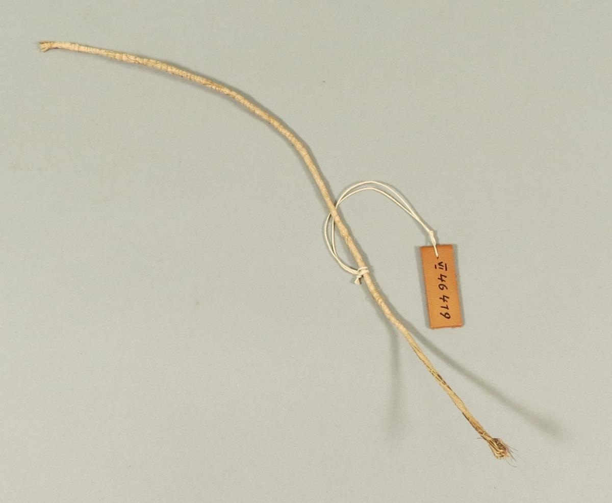 kolokolo