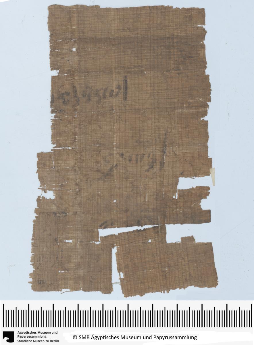 Demotischer Papyrus, Liste von Namen für Bier- und Weizenliste