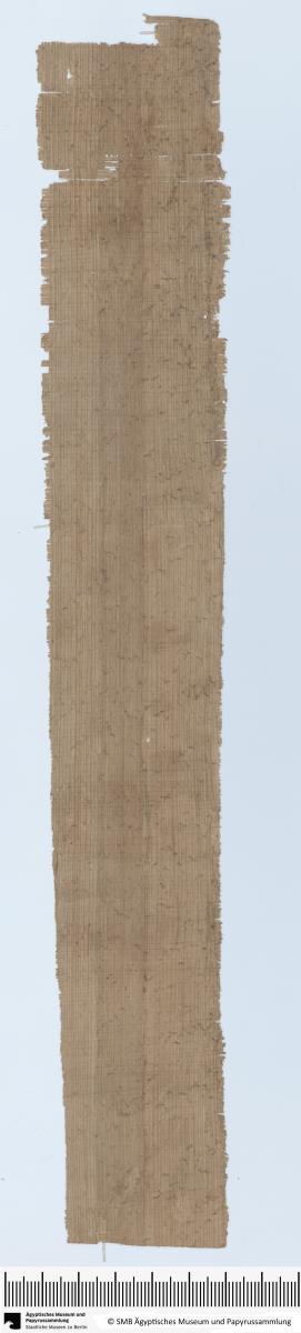 Demotischer Papyrus, Hochformat-Brief wegen Weinlieferung an einen Lesonis-Priester