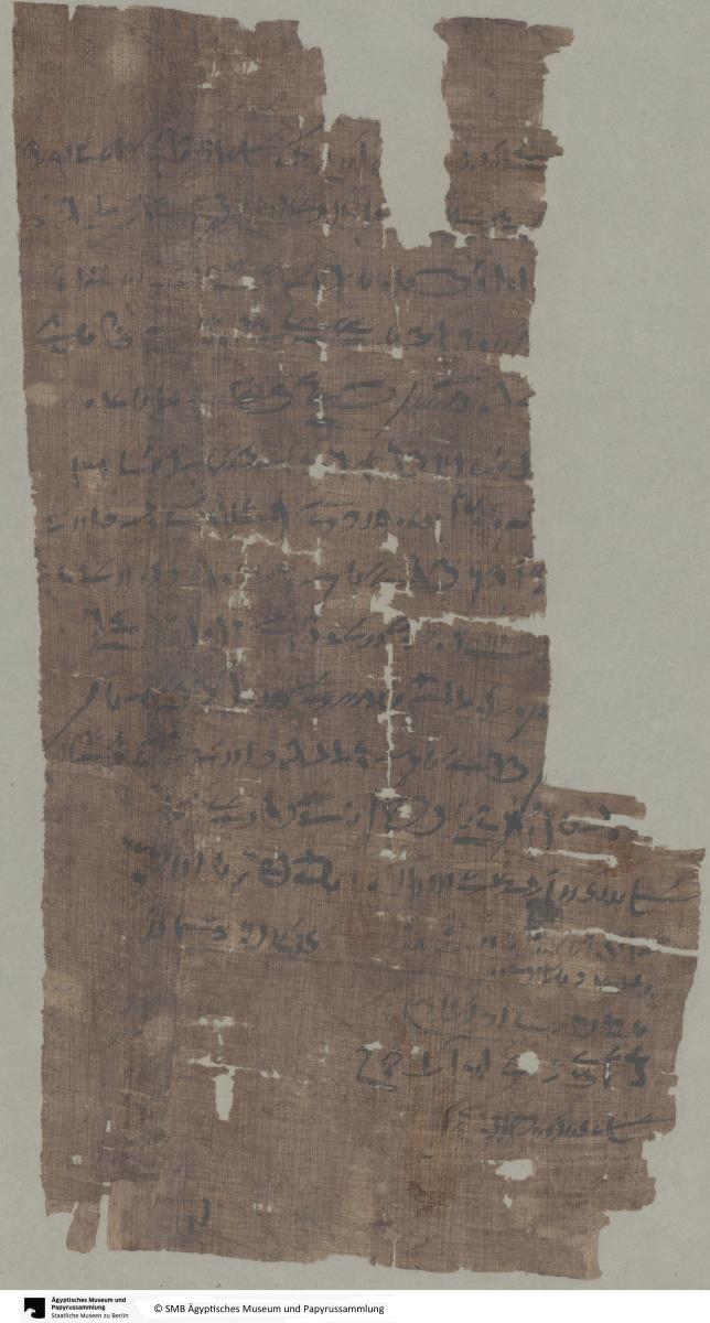 Demotischer Papyrus, Pachtvertrag