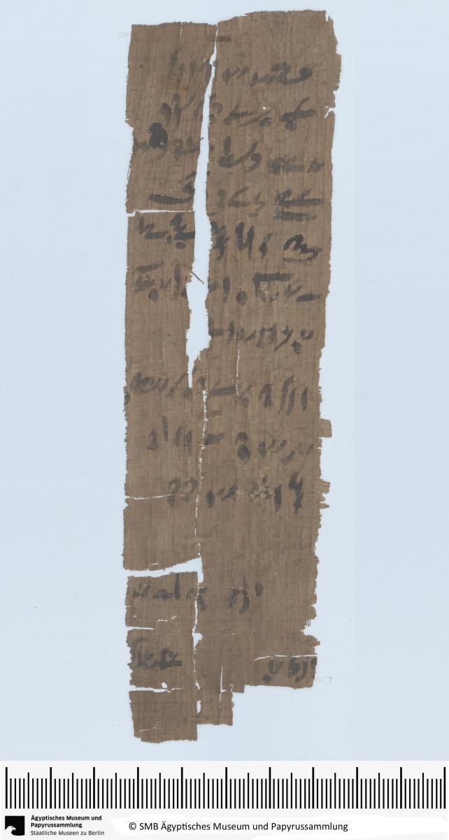 Demotischer Papyrus, Hochformatbrief u.a. über 50 Artaben Emmer