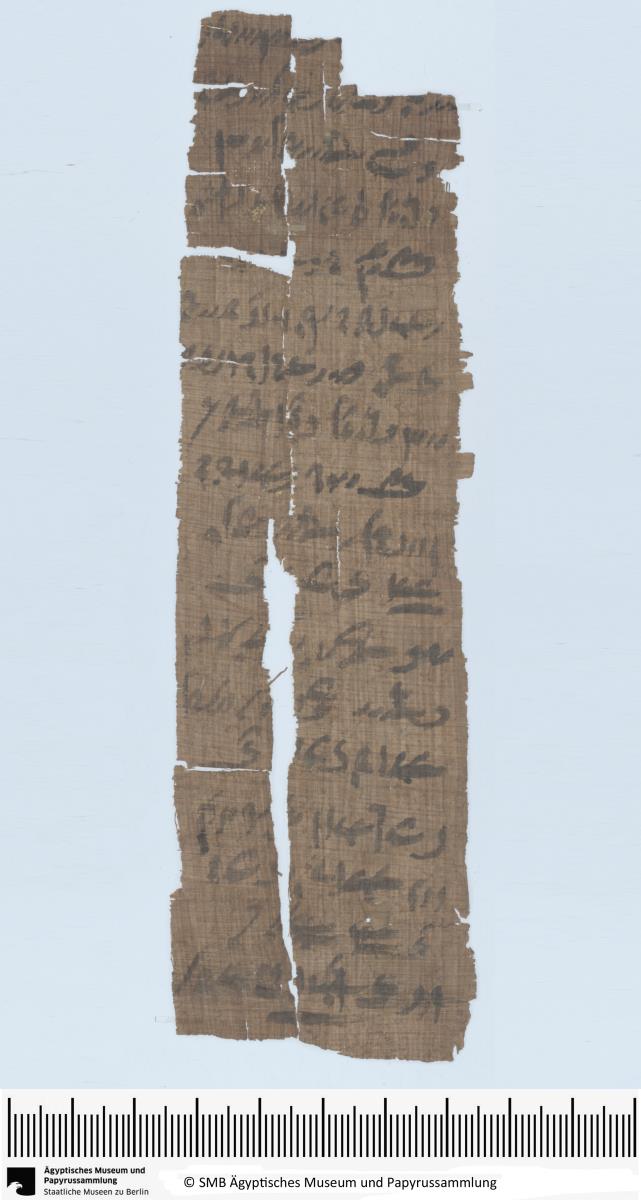 Demotischer Papyrus, Hochformatbrief u.a. über 50 Artaben Emmer