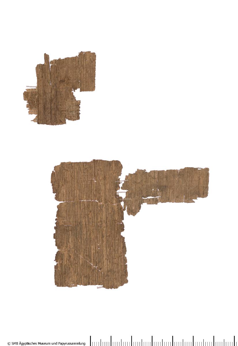 Späthieratischer Papyrus