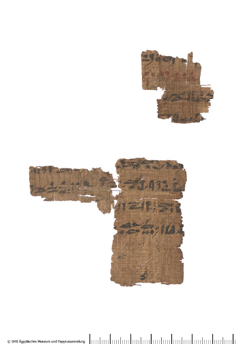 Späthieratischer Papyrus