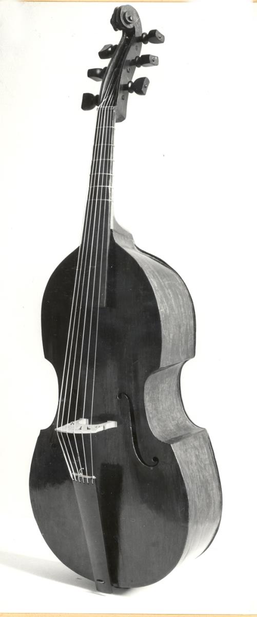 Kontrabaß in Violenform