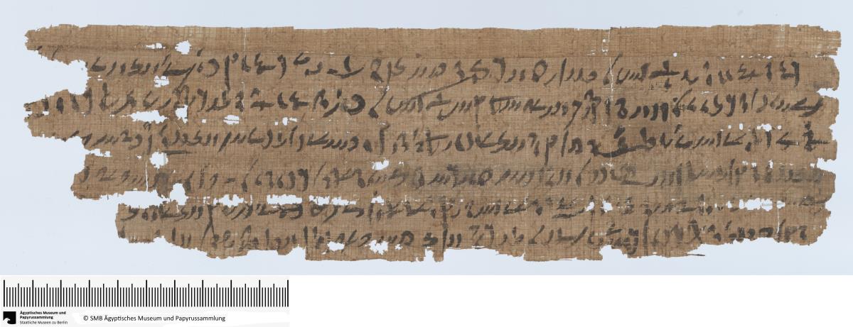Demotischer Papyrus, Querformatbrief, u.a. Schiffstransport einer Kuh (?)