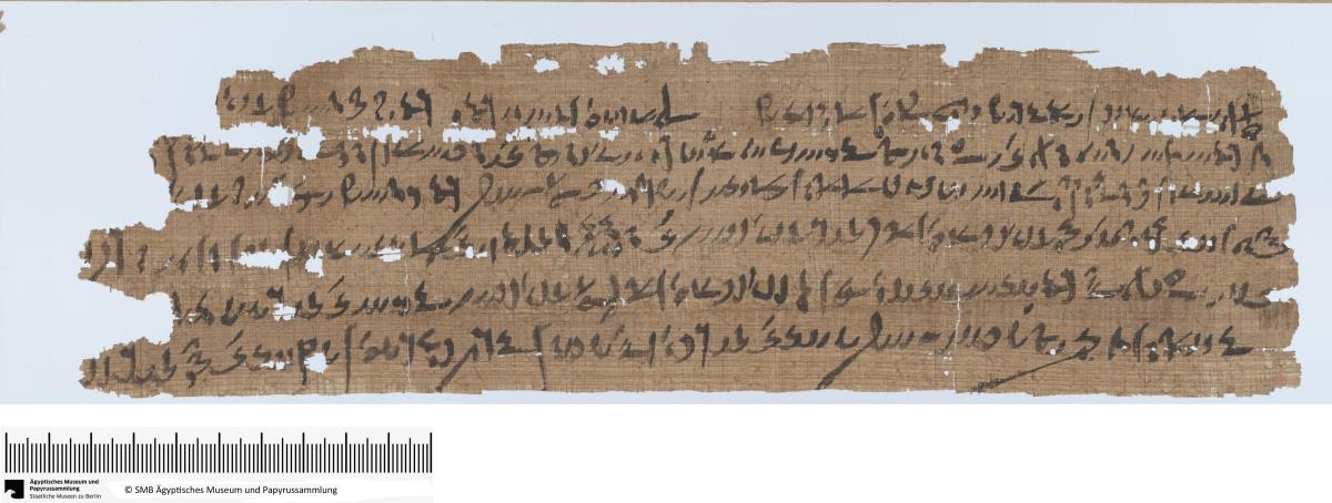 Demotischer Papyrus, Querformatbrief, u.a. Schiffstransport einer Kuh (?)