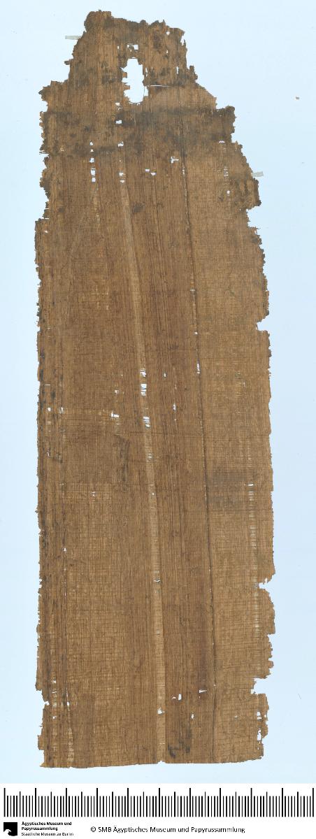 Demotischer Papyrus, Querformatbrief