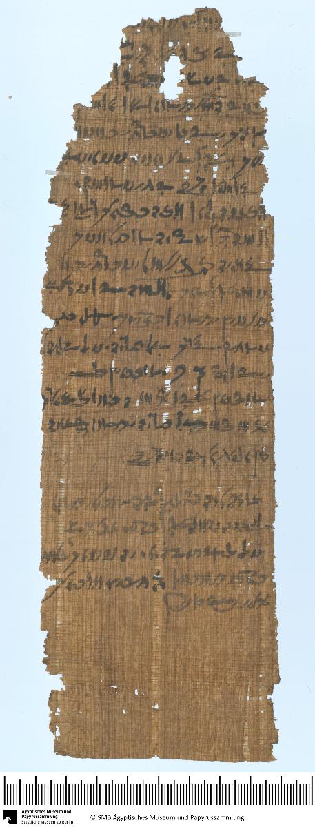 Demotischer Papyrus, Querformatbrief