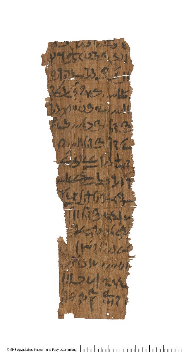 Demotischer Papyrus, Hochformatbrief, Zuteilung von Lebensmitteln für die 2. Priesterhyle für den Unterhalt des Falken