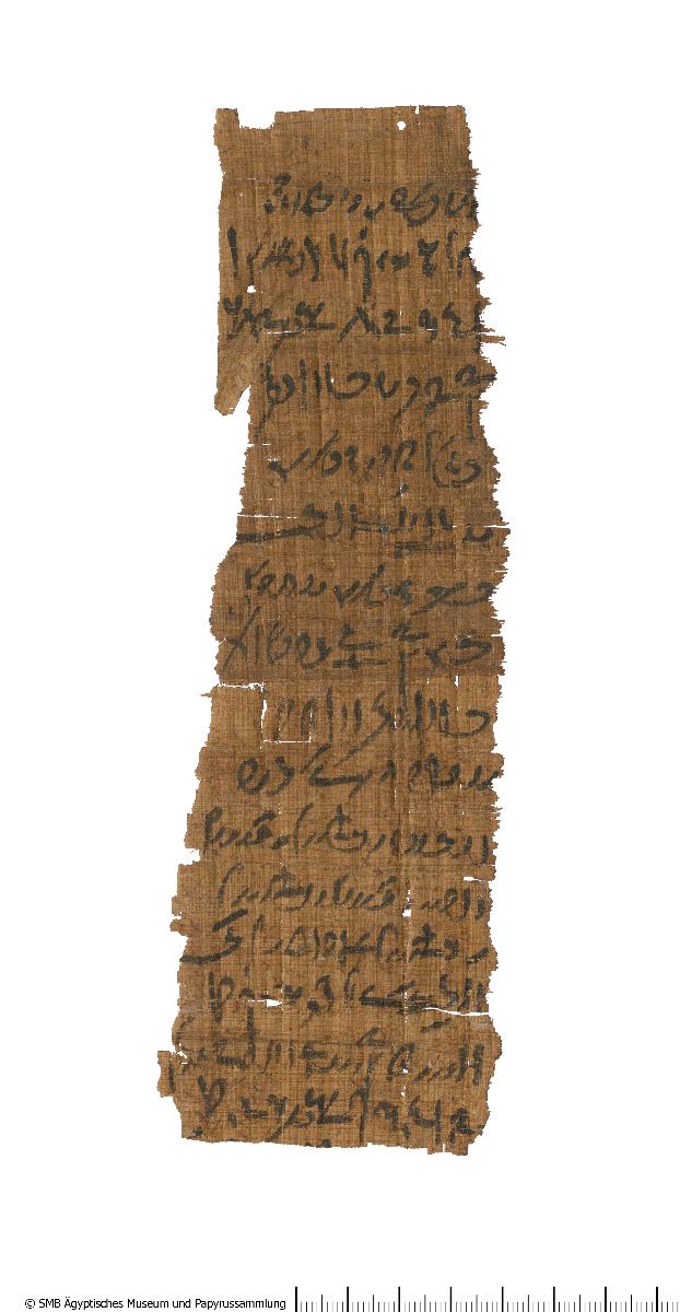 Demotischer Papyrus, Hochformatbrief, Zuteilung von Lebensmitteln für die 2. Priesterhyle für den Unterhalt des Falken