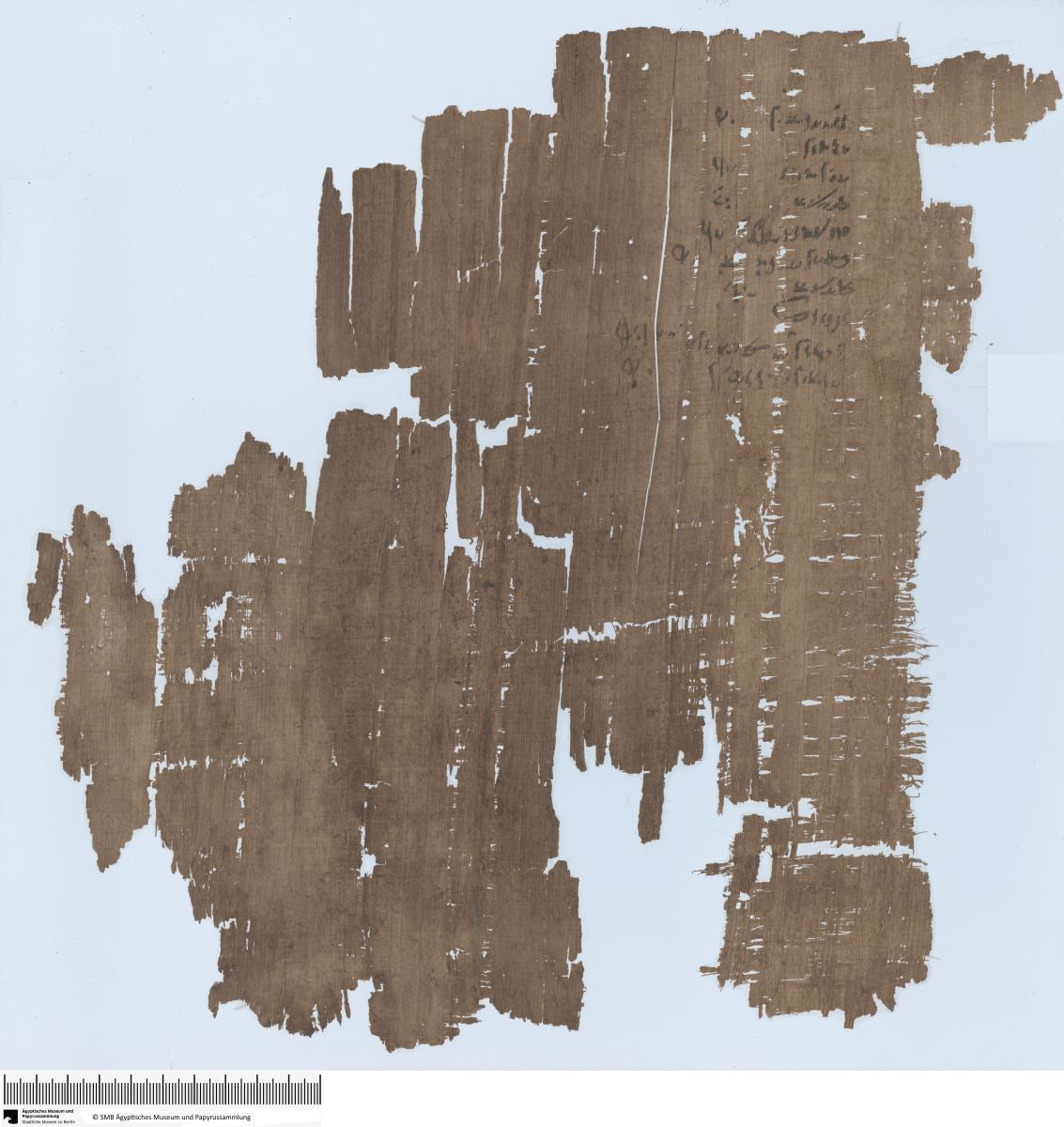 Demotischer Papyrus, Liste