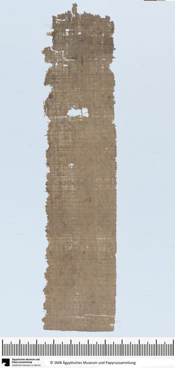Demotischer Papyrus, Hochformatbrief bezüglich Lieferung verschiedener Dinge