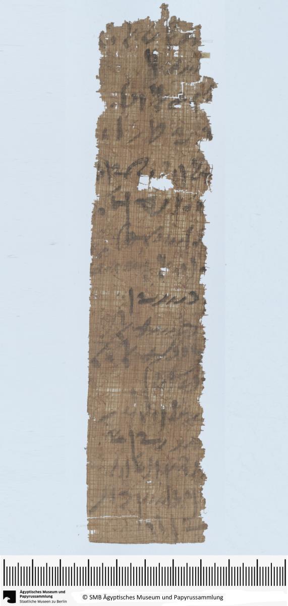 Demotischer Papyrus, Hochformatbrief bezüglich Lieferung verschiedener Dinge