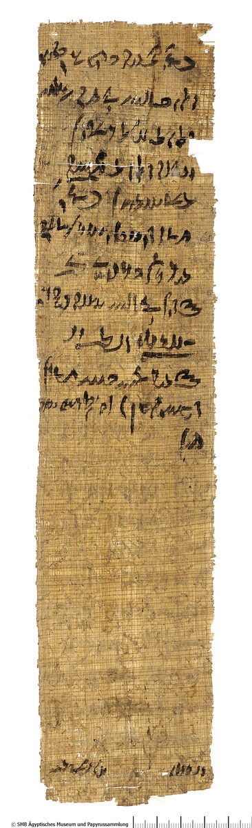Demotischer Papyrus, Hochformat-Brief an den Vorsteher der heiligen Rinder Hartophnachtes, Bitte um Orakelspruch, welche von zwei Frauen er heiraten solle