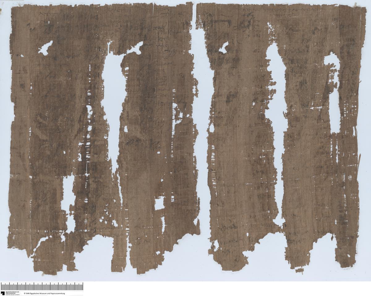 Demotischer Papyrus, Abrechnung über Landzuteilung