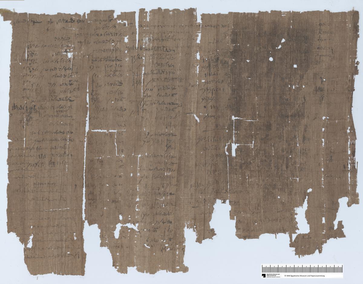 Demotischer Papyrus, Abrechnung über Landzuteilung