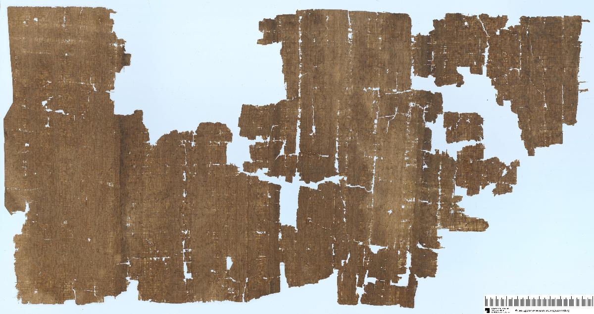 Demotischer Papyrus, Liste der Teilnehmer einer Militärexpedition nach Nubien unter König Amasis