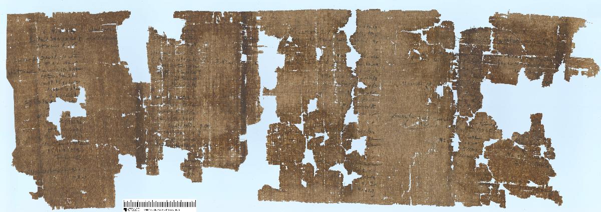 Demotischer Papyrus, Liste der Teilnehmer einer Militärexpedition nach Nubien unter König Amasis