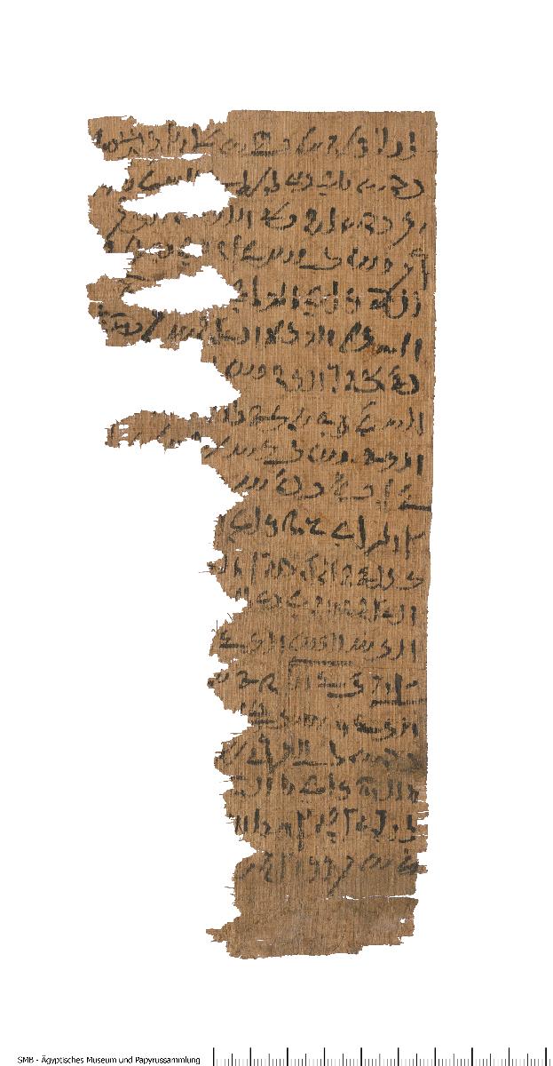 Demotischer Papyrus, Hochformatbrief, Bitte um Hilfe in Hunger und Krankheit