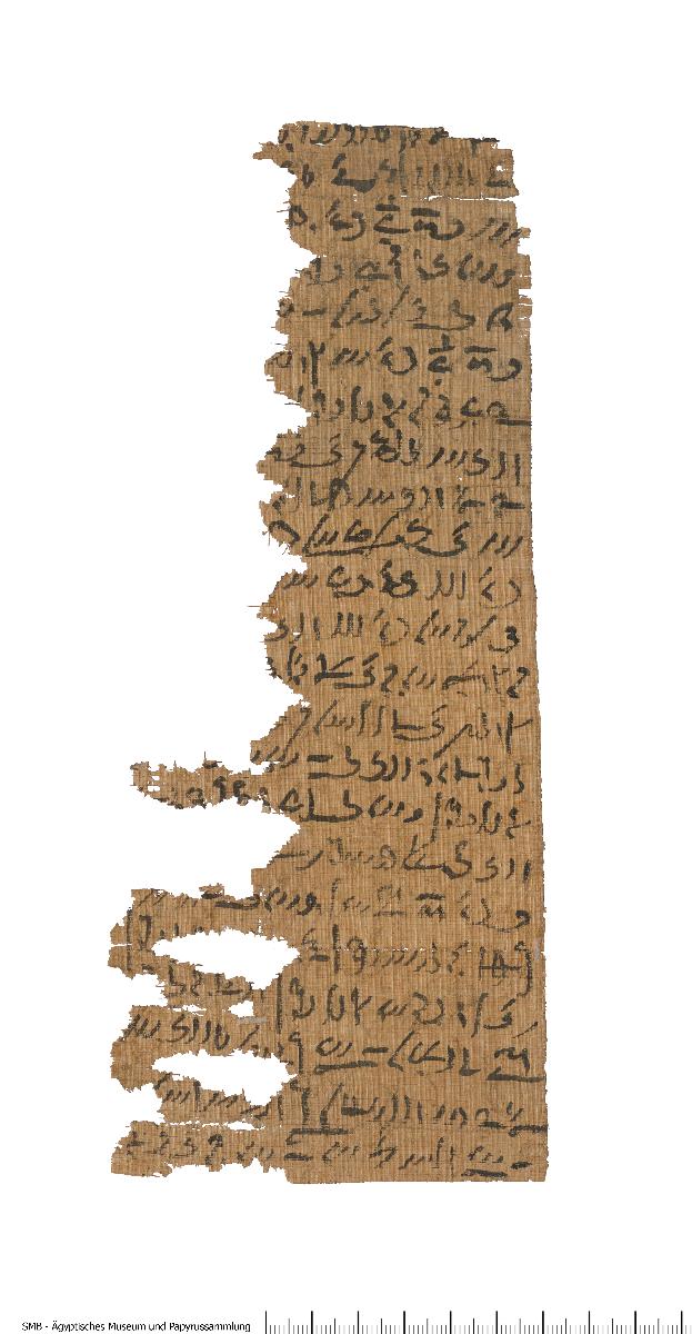 Demotischer Papyrus, Hochformatbrief, Bitte um Hilfe in Hunger und Krankheit