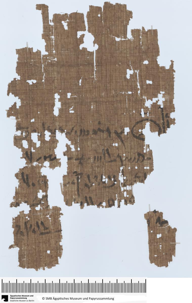 Demotischer Papyrus, Vertrag