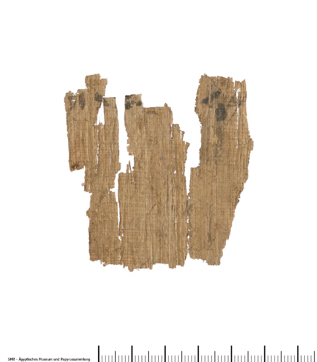 Hieroglyphischer Papyrus, magischer (?) Text