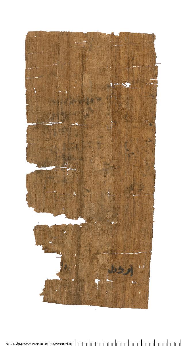 Demotischer Papyrus, Hochformatbrief