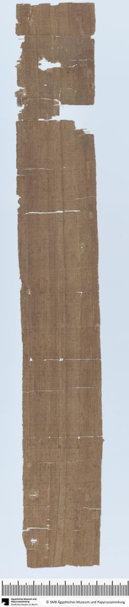 Demotischer Papyrus, Hypomnema, Entwurf einer Eingabe