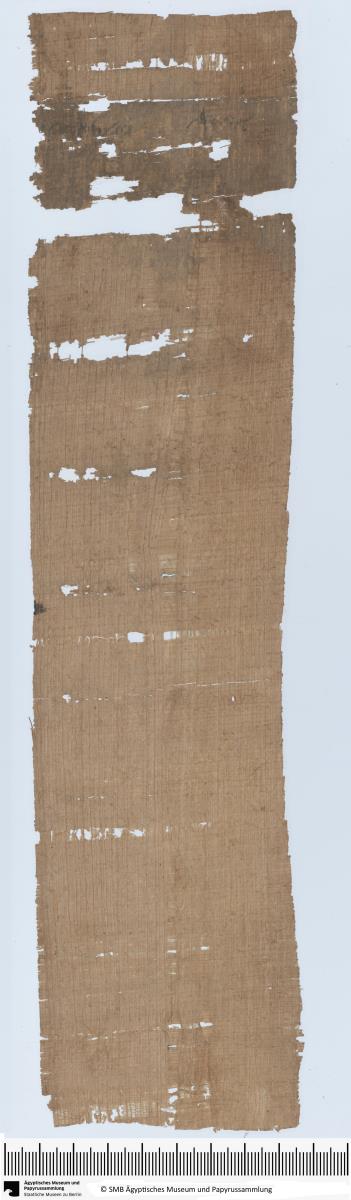 Demotischer Papyrus, Hochformat-Brief, Antwort an Pareitis