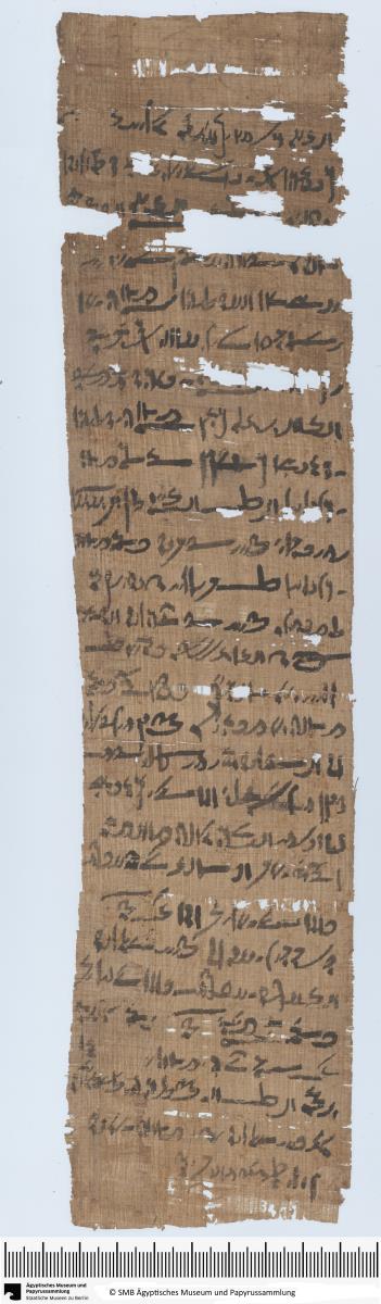Demotischer Papyrus, Hochformat-Brief, Antwort an Pareitis