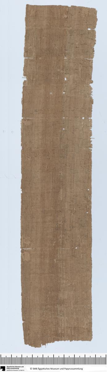 Demotischer Papyrus, Hochformat-Brief an den Vorsteher des Südgaues, Ratenzahlung von fünf Silberlingen
