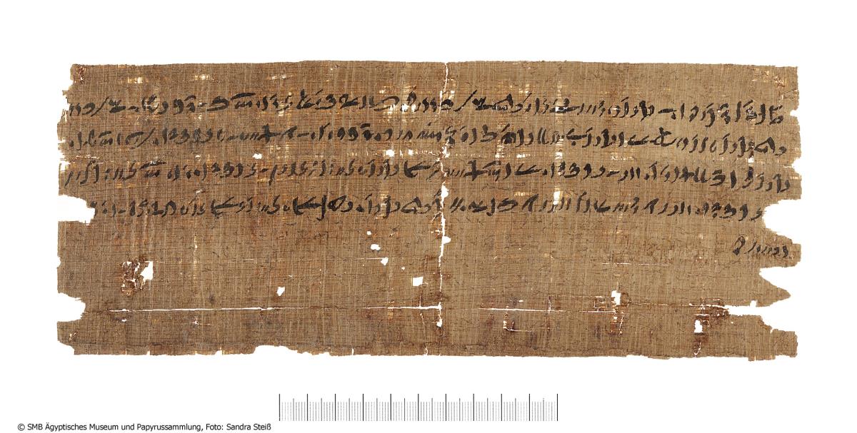 Demotischer Papyrus, Querformat-Brief der Chnumpriester von Elephantine an den Satrapen Pherendates über Absetzung des Lesonis-Priesters (Pherendates-Korrespondenz)