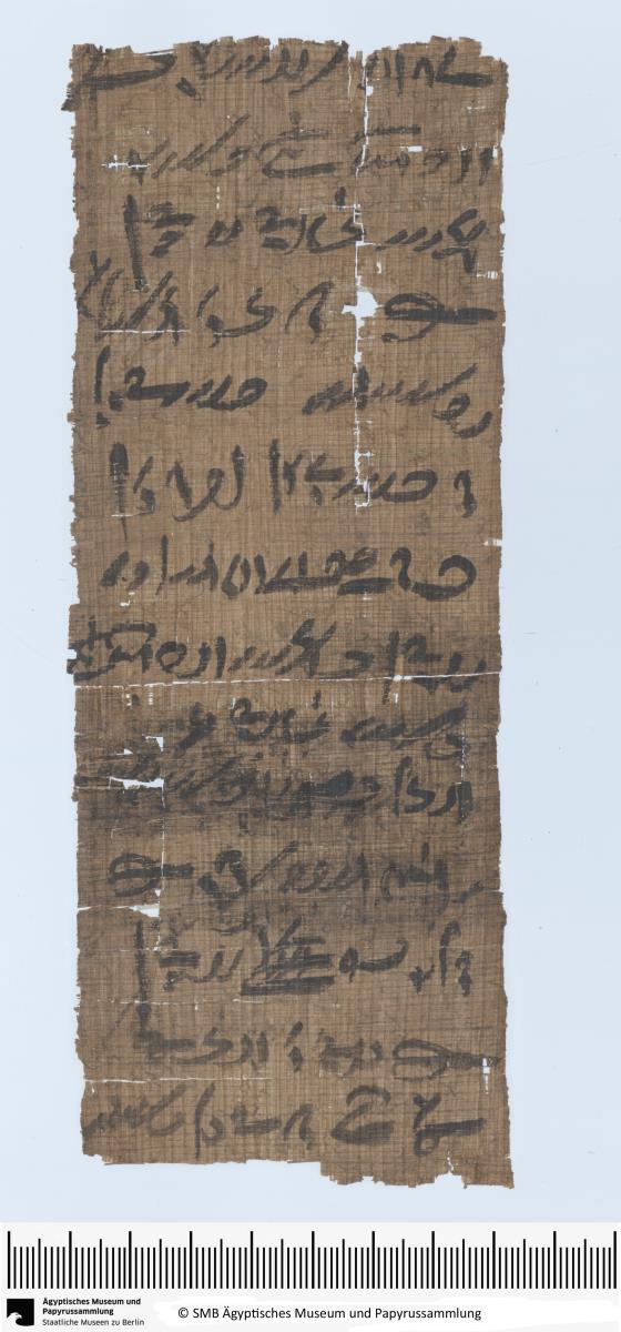 Demotischer Papyrus, Hochformatbrief, Bitte um Zusendung von Gerste für "das Volk hier" (535 Personen)