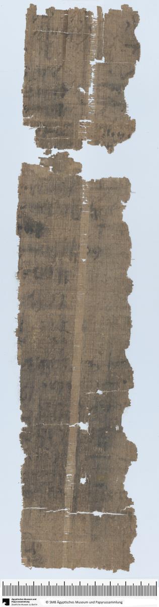 Demotischer Papyrus, Hochformatbrief, Bericht über Klage wegen falsch weidender Kühe