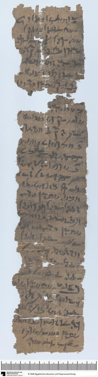 Demotischer Papyrus, Hochformatbrief, Bericht über Klage wegen falsch weidender Kühe