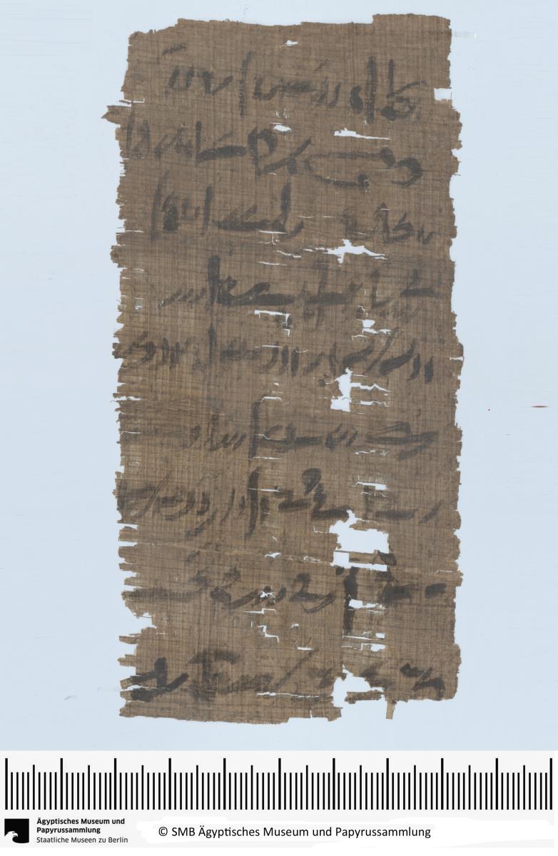 Demotischer Papyrus, Hochformatbrief von Harnuphis an den vorgesetzten Lesonis-Priester Spotus