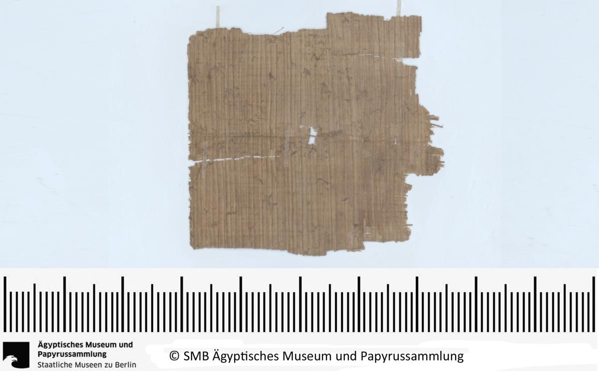 Demotischer Papyrus, Hochformatbrief