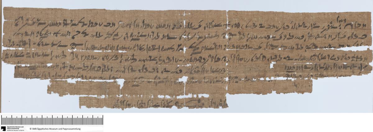 Demotischer Papyrus, Querformatbrief, ausführlicher Bericht aus Memphis an den Re-Erheber und Schreiber des Gottesbuches (?)