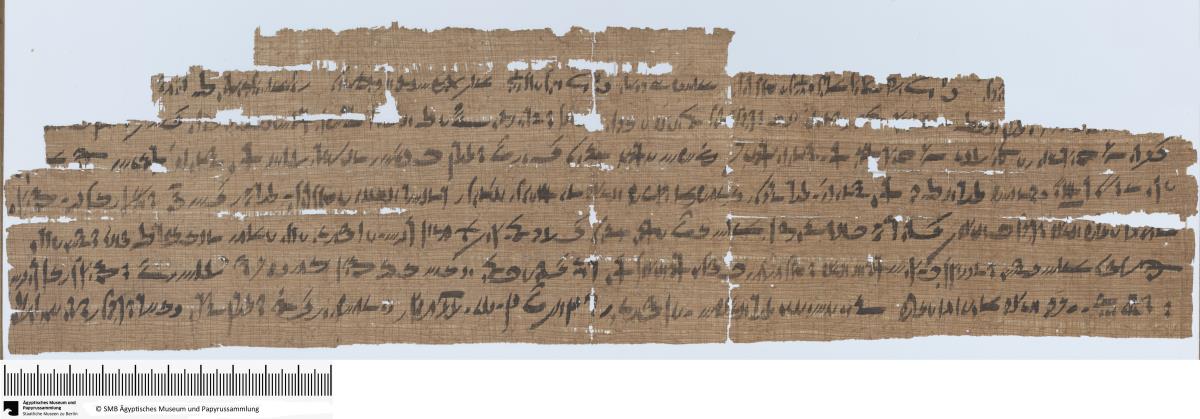 Demotischer Papyrus, Querformatbrief, ausführlicher Bericht aus Memphis an den Re-Erheber und Schreiber des Gottesbuches (?)