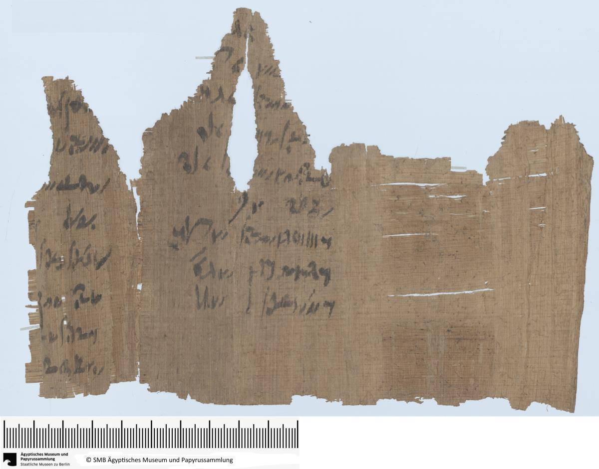 Demotischer Papyrus, Abrechnung zu landwirtschaftlichen Angelegenheiten