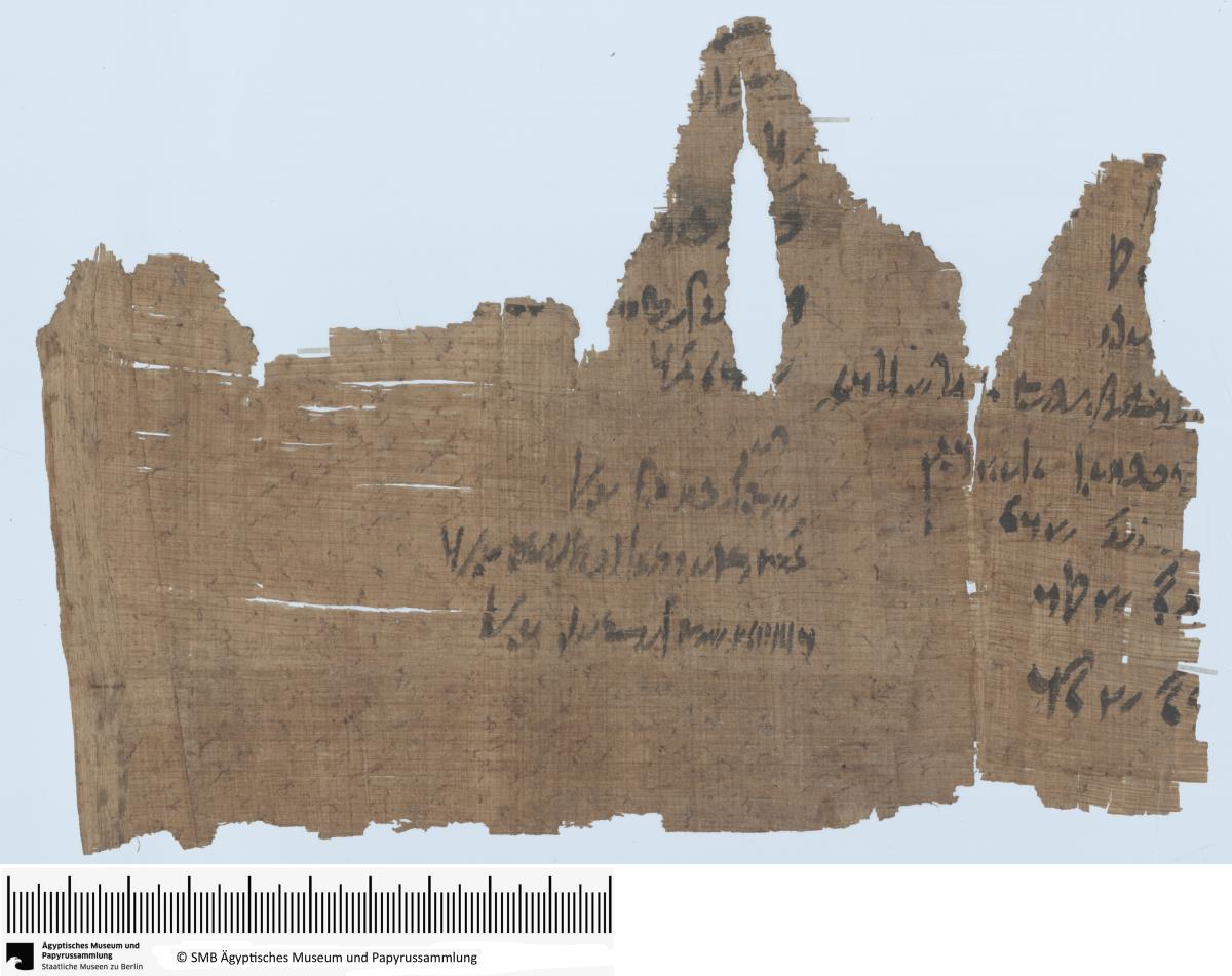 Demotischer Papyrus, Abrechnung zu landwirtschaftlichen Angelegenheiten