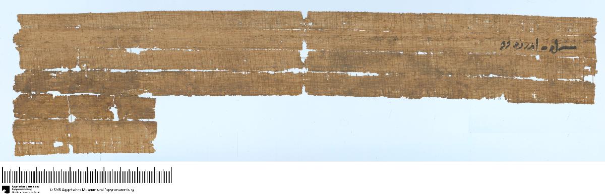 Demotischer Papyrus, Querformatbrief, Bitte um einige Handwerker