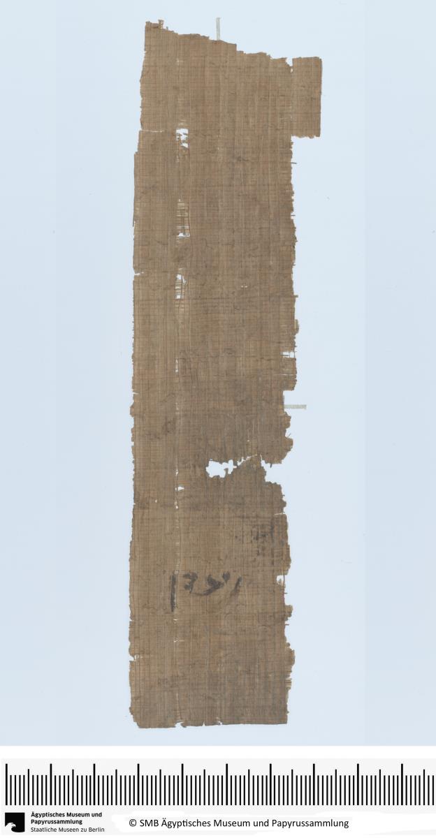 Demotischer Papyrus, Hochformatbrief von oder an Osiris-Priester