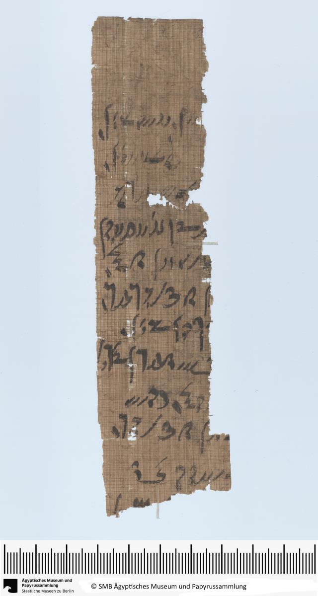 Demotischer Papyrus, Hochformatbrief von oder an Osiris-Priester