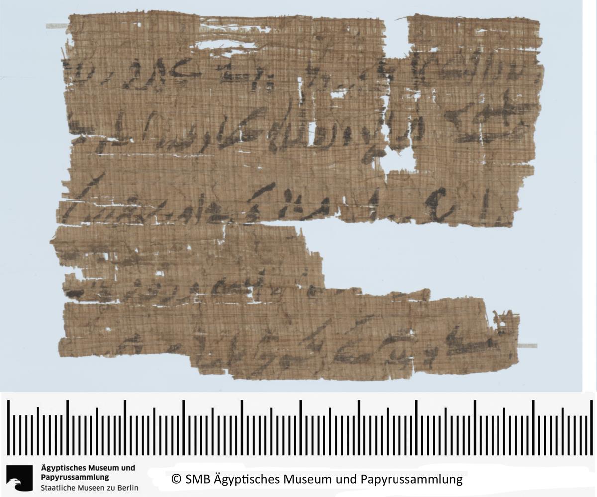 Demotischer Papyrus, Querformatbrief bzgl. eines Gartens